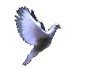 welcome.gif